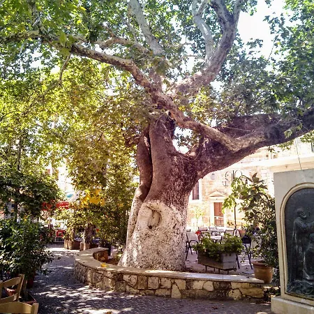Tatil Evi Helios Traditional